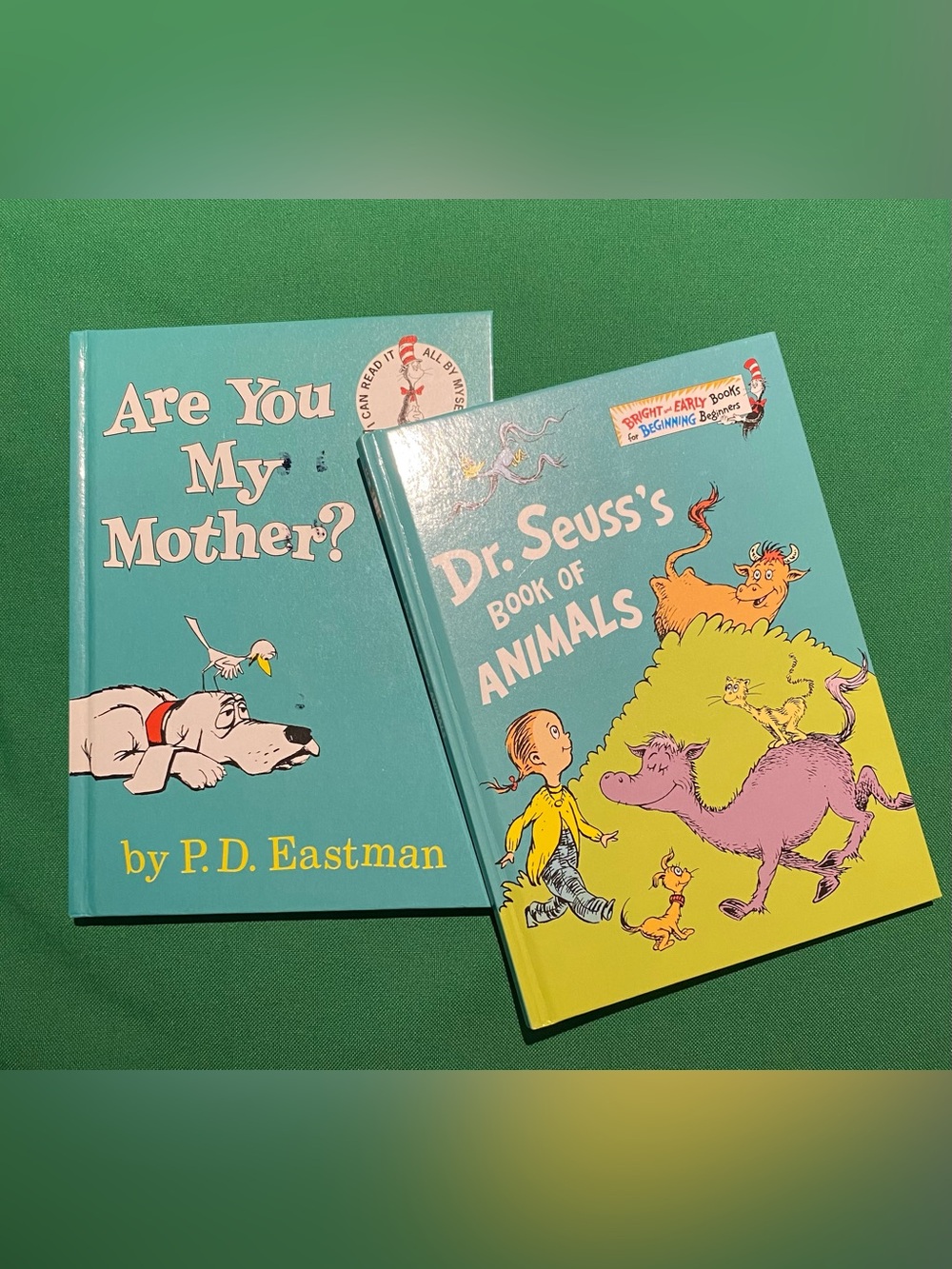 Dr. Seuss Teal & Yellow Children's Picture Book Pair